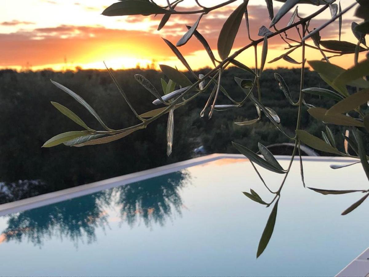 Bed and Breakfast Feudi Mandolivo Ostuni Exterior foto